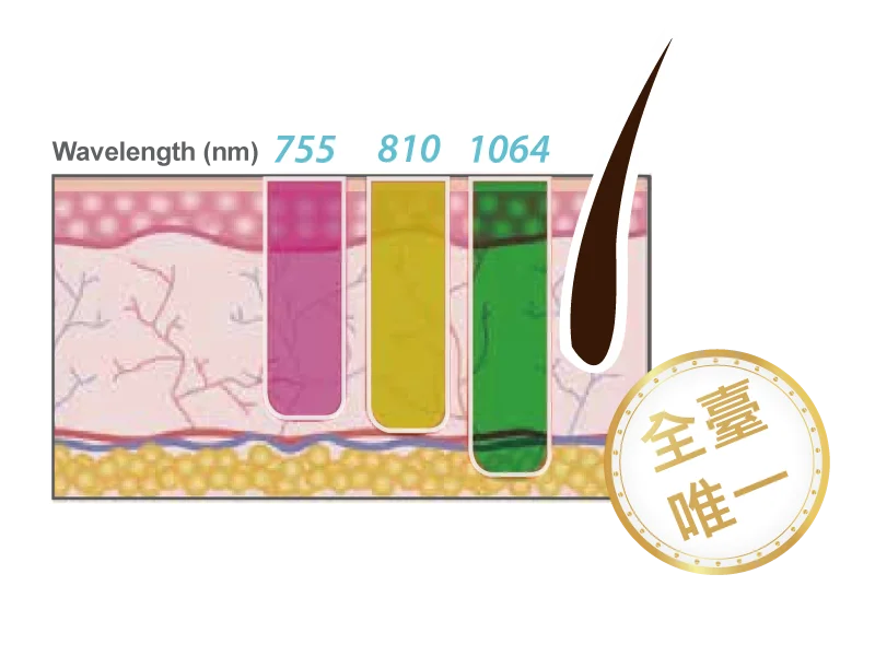 冰雪除毛